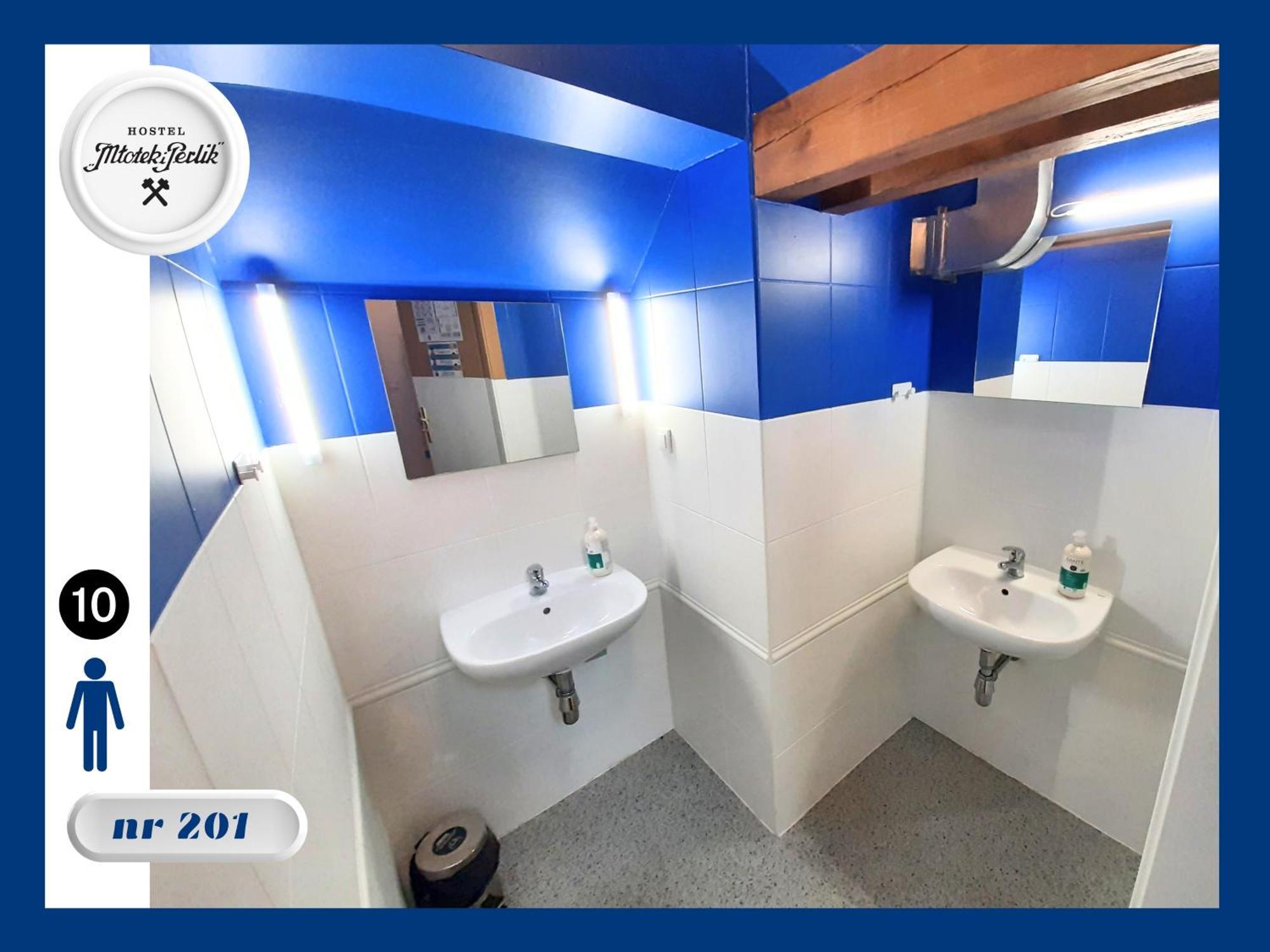 Hostel Mlotek I Perlik Тарновськє-Гури Екстер'єр фото